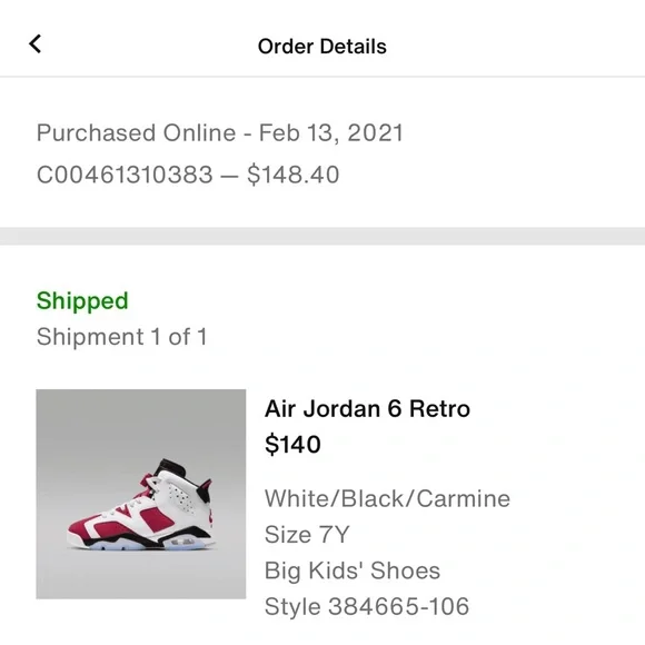 Air Jordan 6 Retro Carmines - Picture 5 of 10